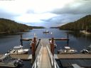 ./images/calvert/dock/20150902/dock20150902_074001.jpg
