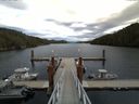 ./images/calvert/dock/20150905/dock20150905_152003.jpg
