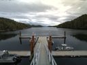 ./images/calvert/dock/20150906/dock20150906_154504.jpg