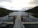 ./images/calvert/dock/20150906/dock20150906_155502.jpg