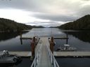 ./images/calvert/dock/20150906/dock20150906_164502.jpg