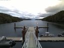 ./images/calvert/dock/20150907/dock20150907_071004.jpg