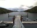 ./images/calvert/dock/20150907/dock20150907_074004.jpg