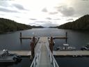 ./images/calvert/dock/20150907/dock20150907_075504.jpg