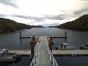 ./images/calvert/dock/20150907/dock20150907_080001.jpg