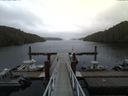 ./images/calvert/dock/20150908/dock20150908_114502.jpg