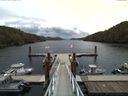 ./images/calvert/dock/20150908/dock20150908_183004.jpg