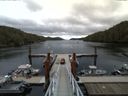 ./images/calvert/dock/20150909/dock20150909_155504.jpg