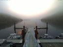 ./images/calvert/dock/20150910/dock20150910_071004.jpg