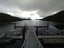 ./images/calvert/dock/20150910/dock20150910_111003.jpg