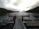 ./images/calvert/dock/20150910/dock20150910_113004.jpg