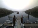 ./images/calvert/dock/20150911/dock20150911_071004.jpg