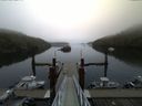 ./images/calvert/dock/20150911/dock20150911_072003.jpg