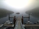 ./images/calvert/dock/20150911/dock20150911_074002.jpg