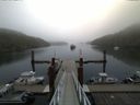 ./images/calvert/dock/20150911/dock20150911_091504.jpg