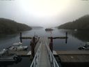 ./images/calvert/dock/20150911/dock20150911_105501.jpg