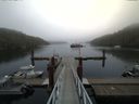 ./images/calvert/dock/20150911/dock20150911_110504.jpg
