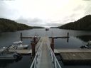 ./images/calvert/dock/20150911/dock20150911_125004.jpg