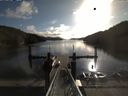 ./images/calvert/dock/20150913/dock20150913_092504.jpg