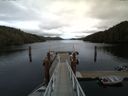 ./images/calvert/dock/20150927/dock20150927_152503.jpg