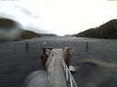 ./images/calvert/dock/20151011/dock20151011_154003.jpg