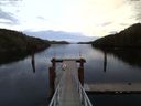 ./images/calvert/dock/20151105/dock20151105_165504.jpg