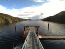 ./images/calvert/dock/20151107/dock20151107_112004.jpg