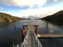 ./images/calvert/dock/20151107/dock20151107_114502.jpg