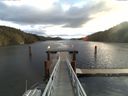 ./images/calvert/dock/20151108/dock20151108_095004.jpg