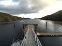 ./images/calvert/dock/20151108/dock20151108_111004.jpg