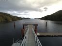 ./images/calvert/dock/20151108/dock20151108_113004.jpg
