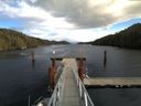 ./images/calvert/dock/20151108/dock20151108_125503.jpg