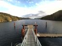 ./images/calvert/dock/20151114/dock20151114_113004.jpg