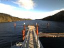 ./images/calvert/dock/20151114/dock20151114_143503.jpg