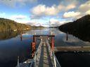 ./images/calvert/dock/20151115/dock20151115_135502.jpg
