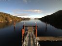 ./images/calvert/dock/20151119/dock20151119_124502.jpg