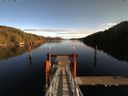 ./images/calvert/dock/20151119/dock20151119_125502.jpg