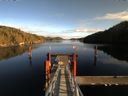 ./images/calvert/dock/20151119/dock20151119_133502.jpg