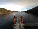 ./images/calvert/dock/20151120/dock20151120_135501.jpg
