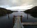 ./images/calvert/dock/20151122/dock20151122_135002.jpg