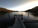 ./images/calvert/dock/20151124/dock20151124_092003.jpg