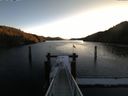 ./images/calvert/dock/20151129/dock20151129_090503.jpg
