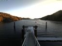 ./images/calvert/dock/20151129/dock20151129_093004.jpg