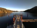 ./images/calvert/dock/20151129/dock20151129_134504.jpg