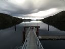 ./images/calvert/dock/20151130/dock20151130_133004.jpg
