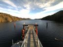 ./images/calvert/dock/20151223/dock20151223_123503.jpg