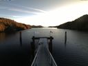 ./images/calvert/dock/20151229/dock20151229_095001.jpg