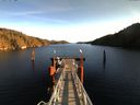 ./images/calvert/dock/20151229/dock20151229_120502.jpg