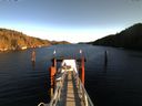 ./images/calvert/dock/20151230/dock20151230_130003.jpg