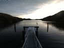 ./images/calvert/dock/20160101/dock20160101_091504.jpg